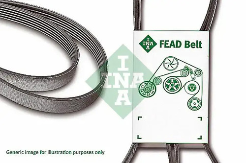 Multi ribbed belt 4pk928 - v-belt, fb
